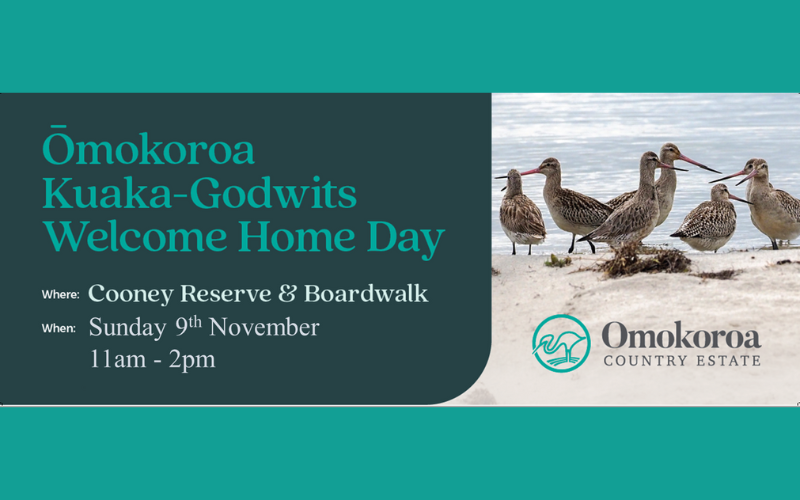 Ōmokoroa Kuaka-Godwits Welcome Home Day - Western Bay of Plenty ...