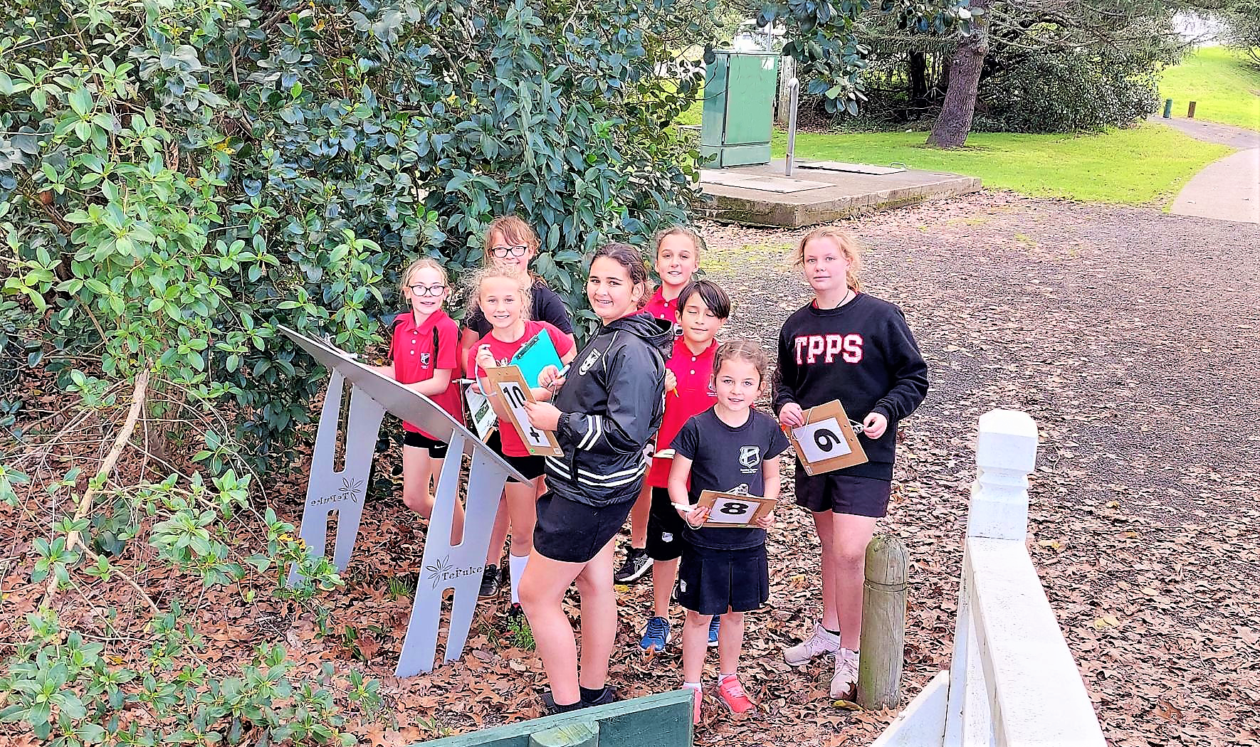 Te Puke Primary School students explore Te Ara Kahikatea Pathway