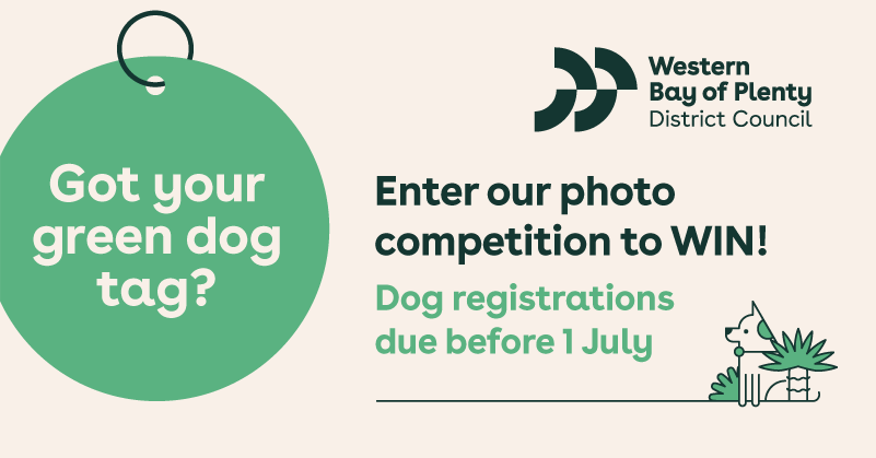 enter our photo comp