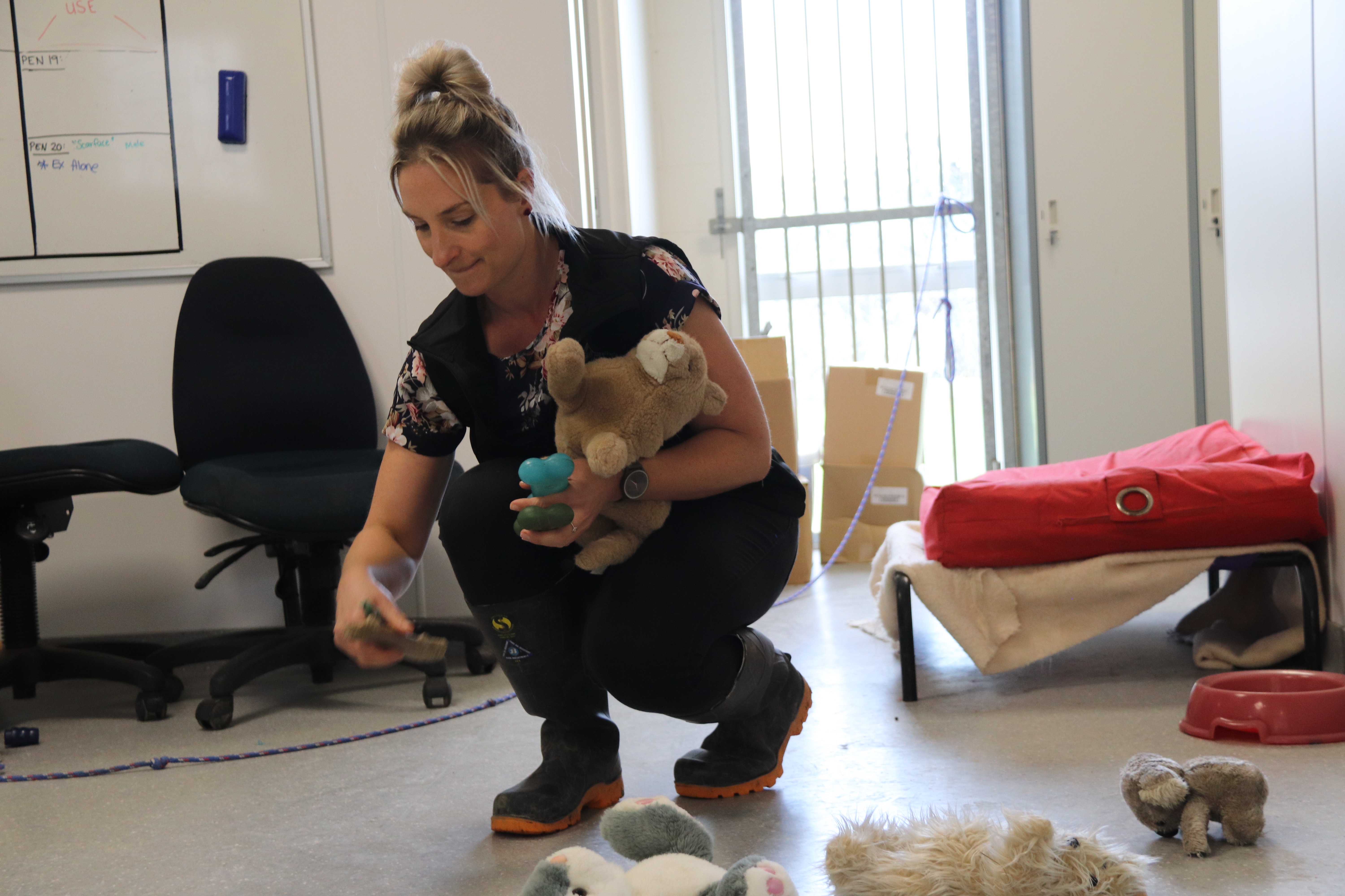 Becs tidying up soft toys left on the floor inside by boisterous pups 