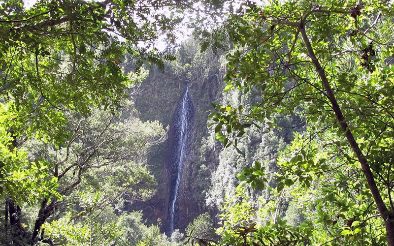 Ananui Falls