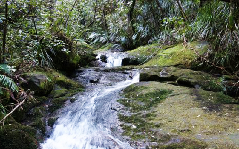 Henderson Tramline Loop Track waterfall