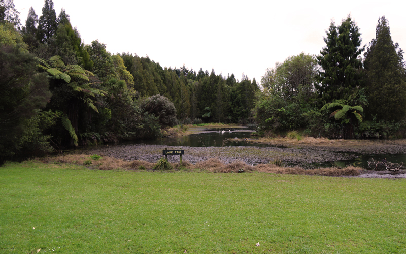 Lake Taki at I'Anson Bush Reserve