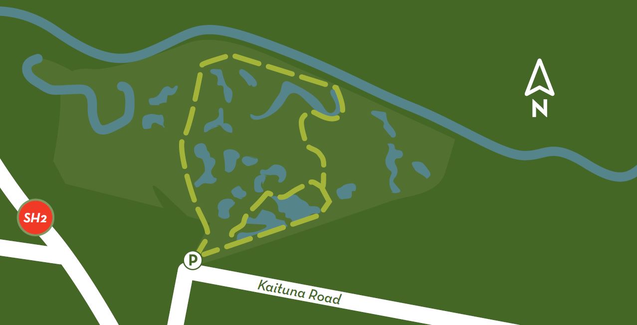 Kaituna Wetland walking track map