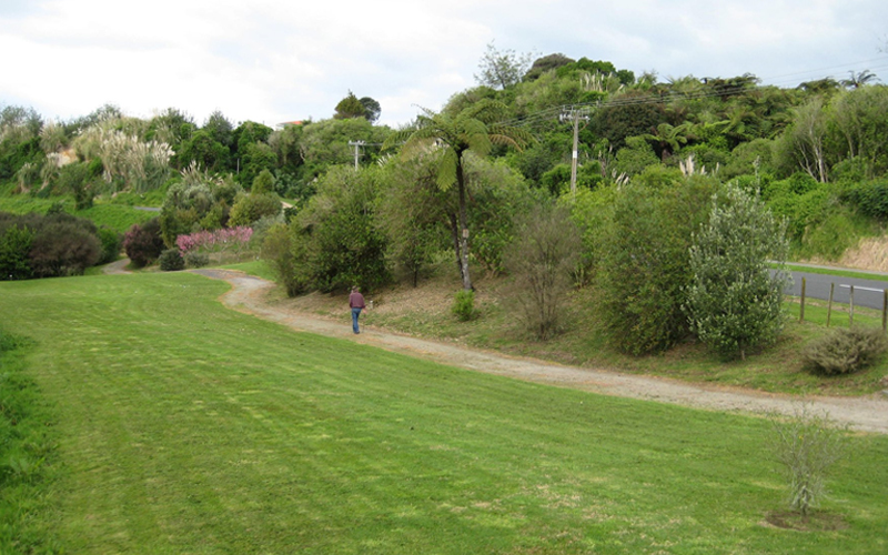 Kotukutuku Gully walking trail