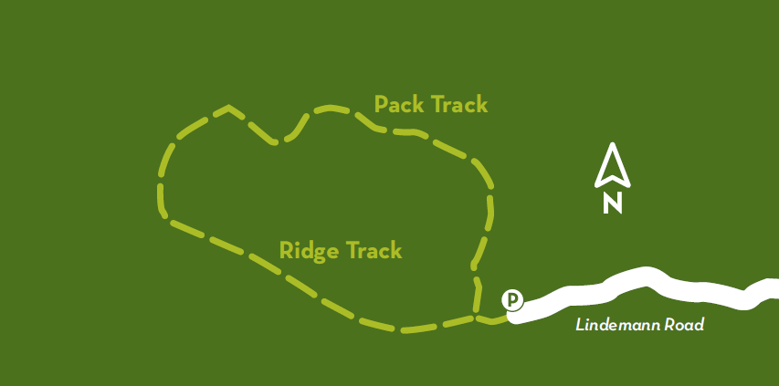 Lindemann Loop Track map