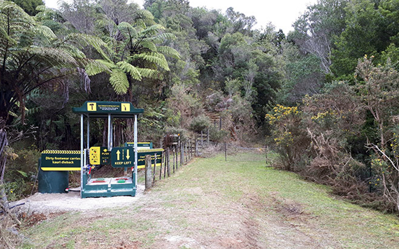 Entrance to Lindemann Track