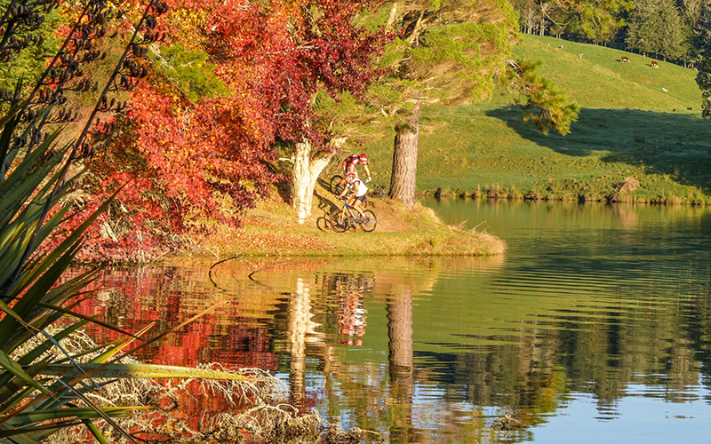 McLaren Falls Park in Autumn