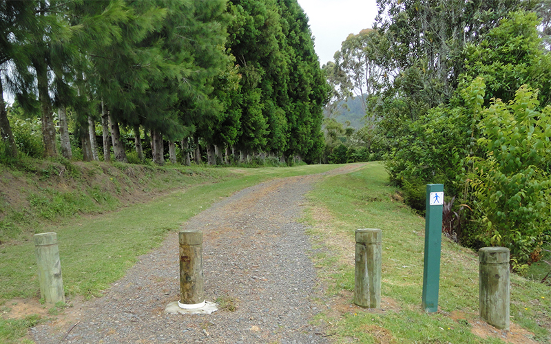 Start of the walking track at Minden Scenic Reserve