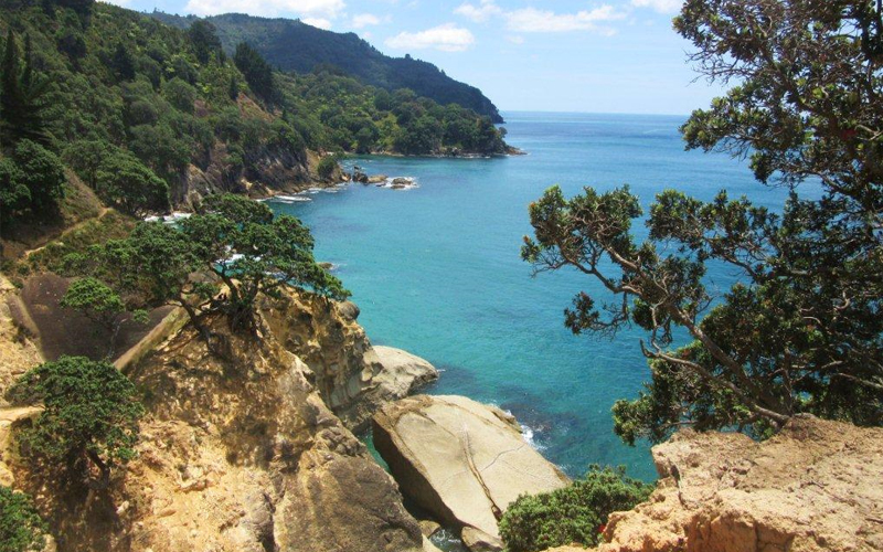 Orokawa Scenic Reserve walkway view of coast