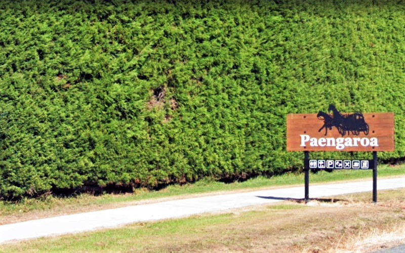 Cycleway at Paengaroa