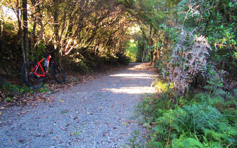 Paengaroa to Okere cycleway