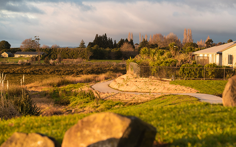 Park Road walking track Katikati