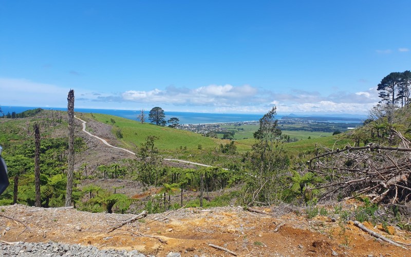 Waihi Beach Trig Walking Track