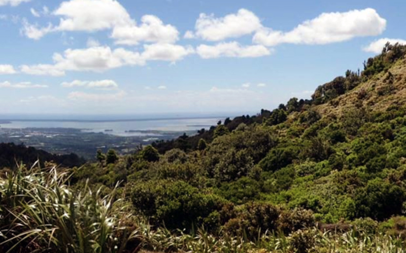 View from Tuahu track