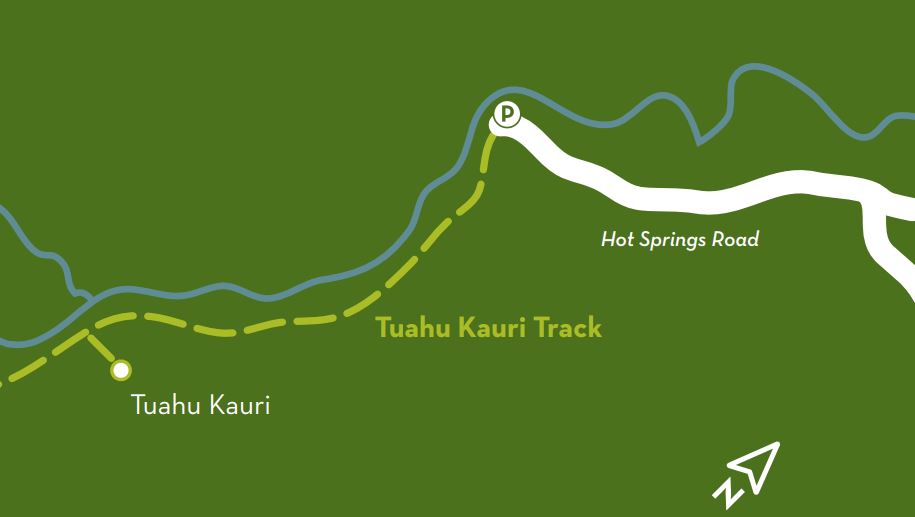 Tuahu Kauri track map