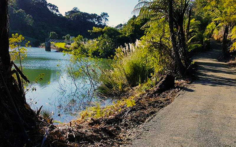 Waih Beach reservoir walking track