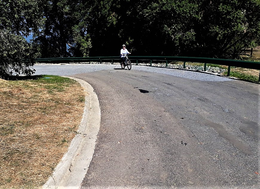 New road at Kauri Point