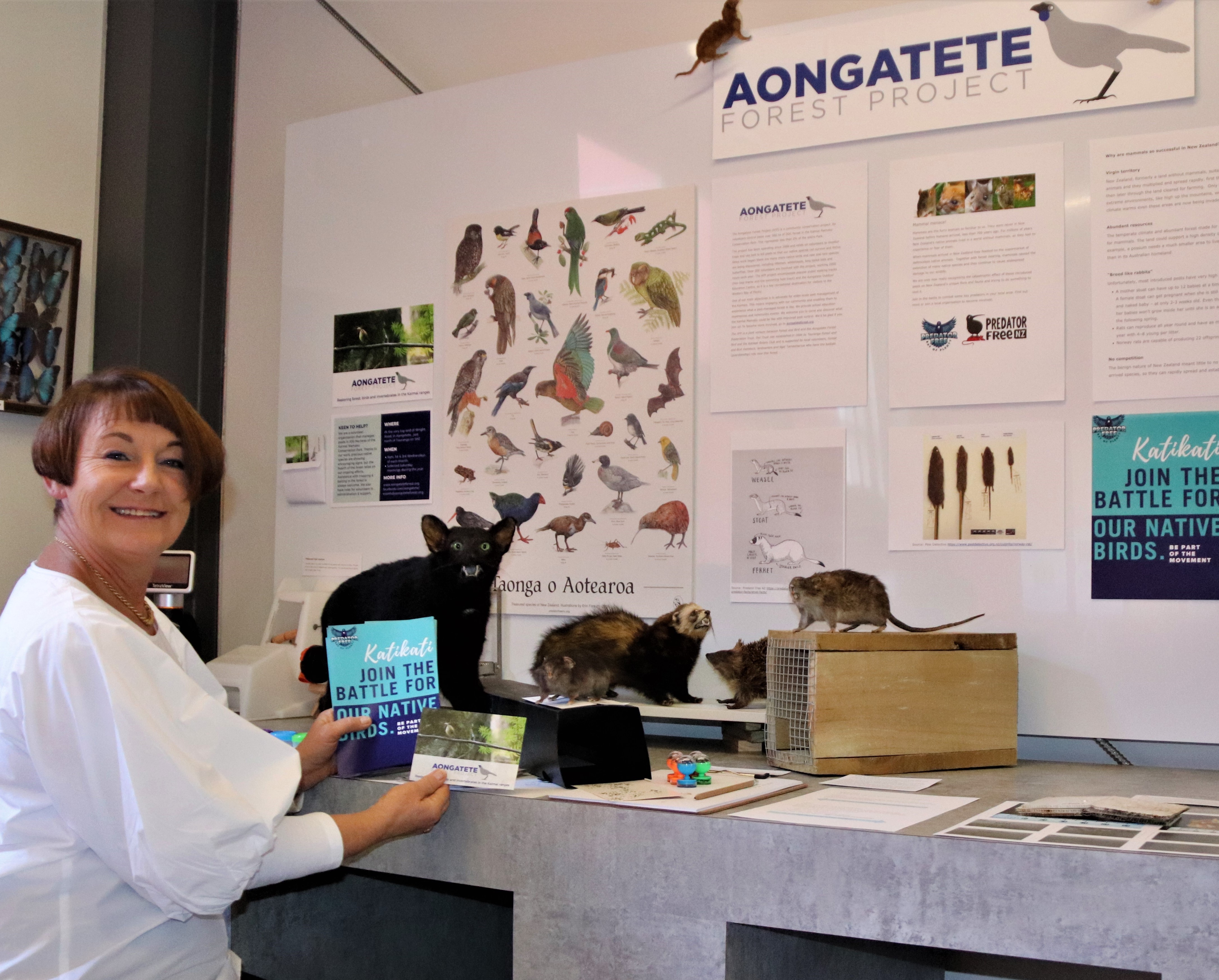 Museum Manager Paula Gaelic shows the Aongatete Forest Project interactive exhibition.