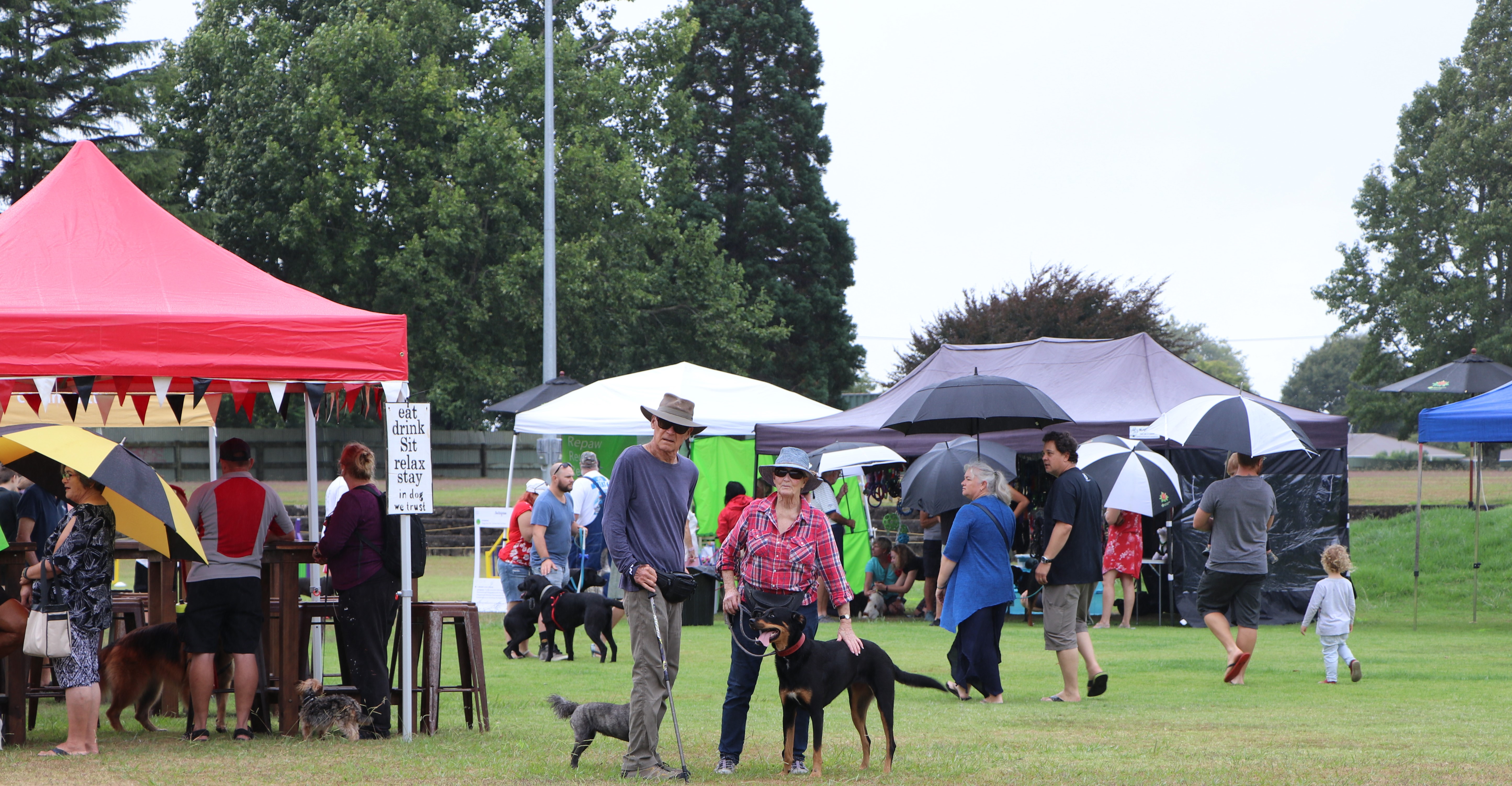 Doggy Day Out event