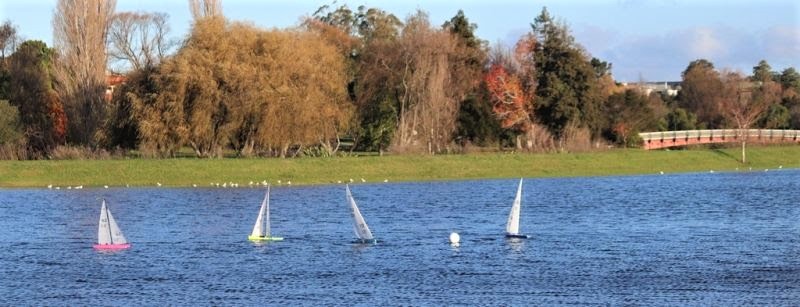 Motorised boats on the Highfields stormwater pond