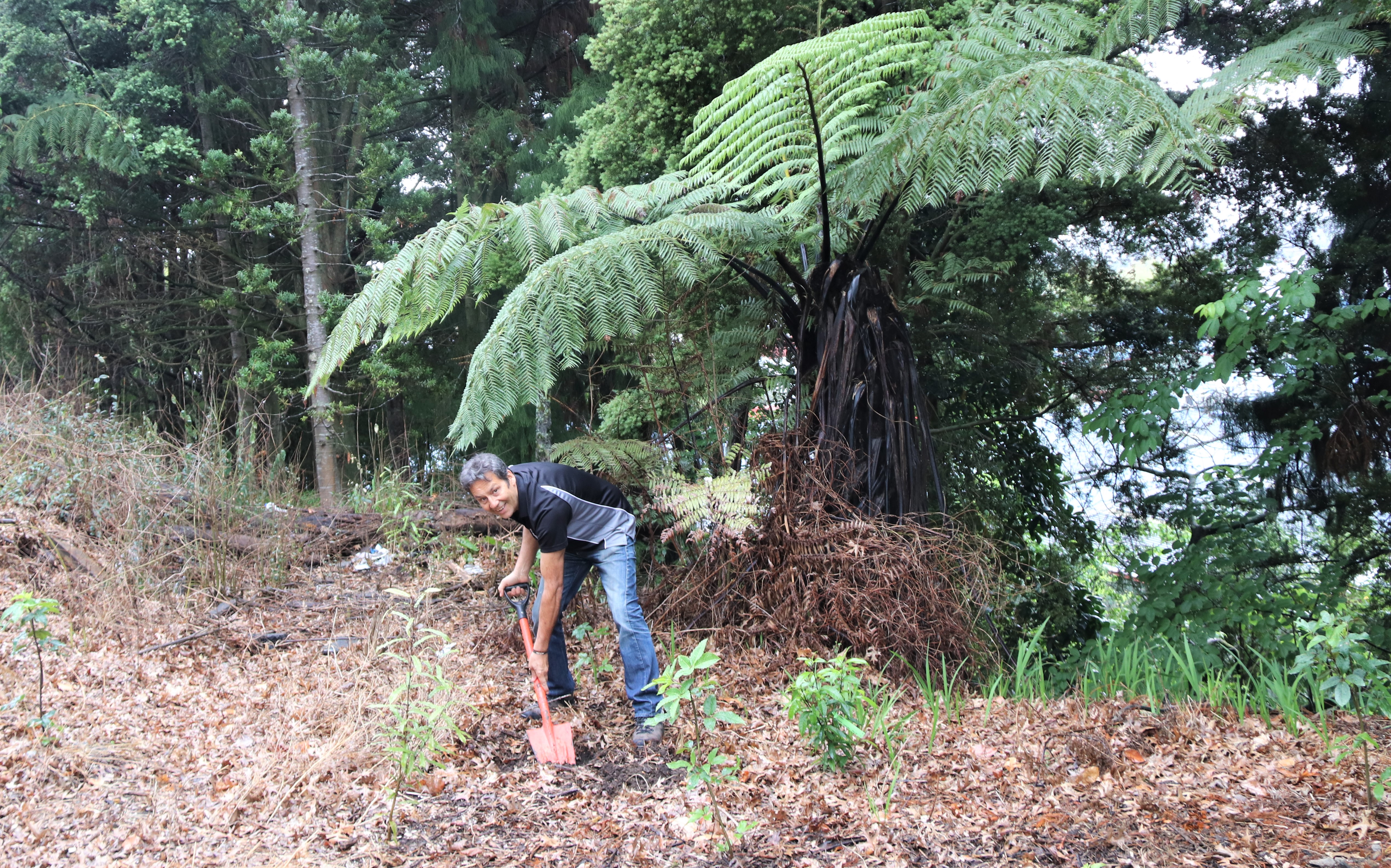 Western Bay of Plenty District Council project manager, Environmental Development Officer, Glenn Ayo, among the new plantings in Council’s backyard.