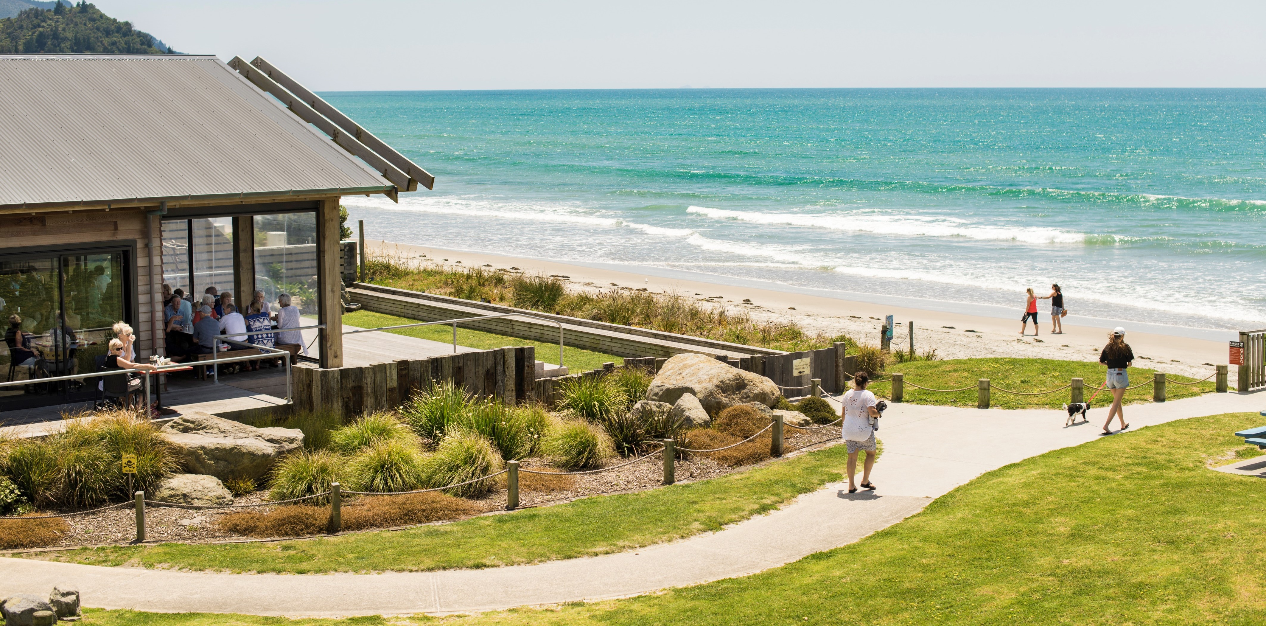 At Waihī Beach’s main beach, dogs can only be walked from 7pm to 9am, from 21 December to Tuesday 7 February.