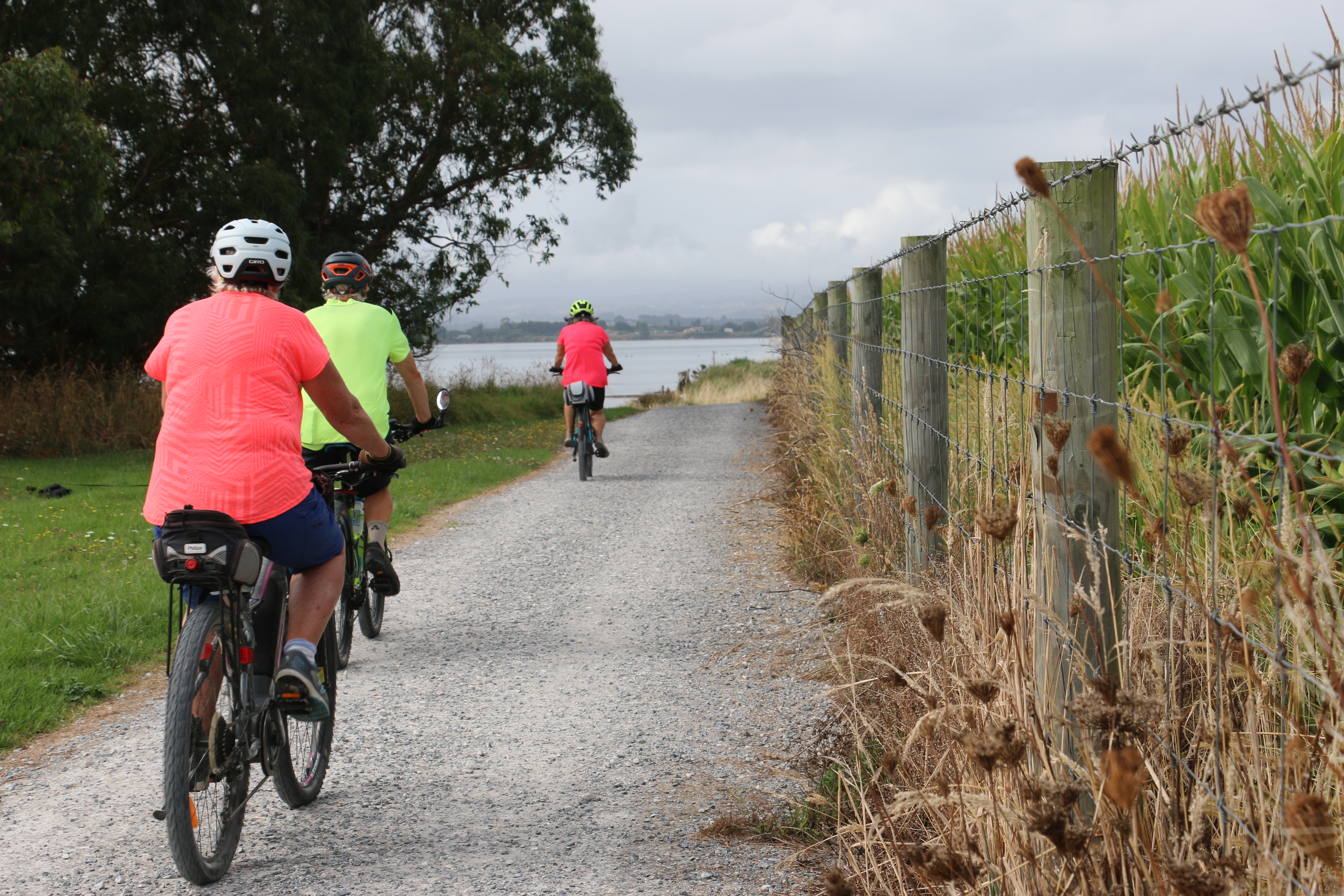 Cyclists enjoying the MacMillan - Beach Road loop Track in Katikati 