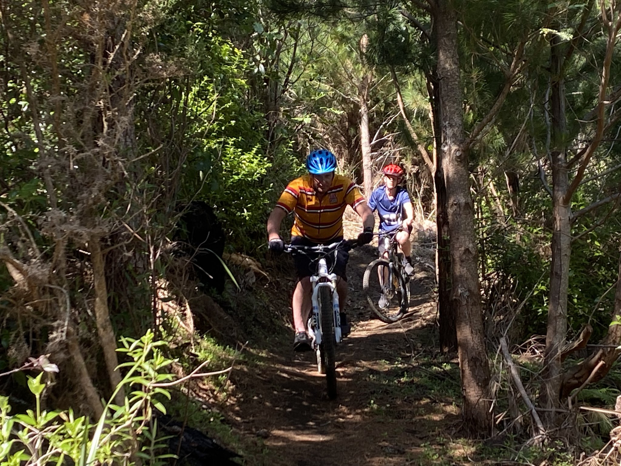 Mountain bikers are loving the new trails out at Waitekohekohe 